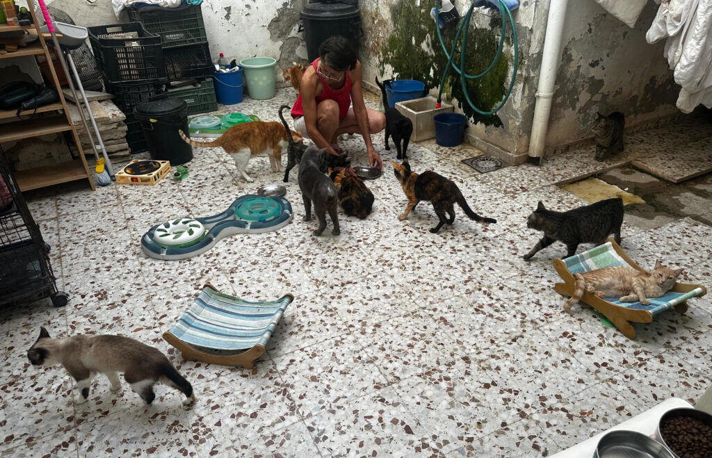 Tierschützerin Luisa mit ihren Katzen im Lichthof